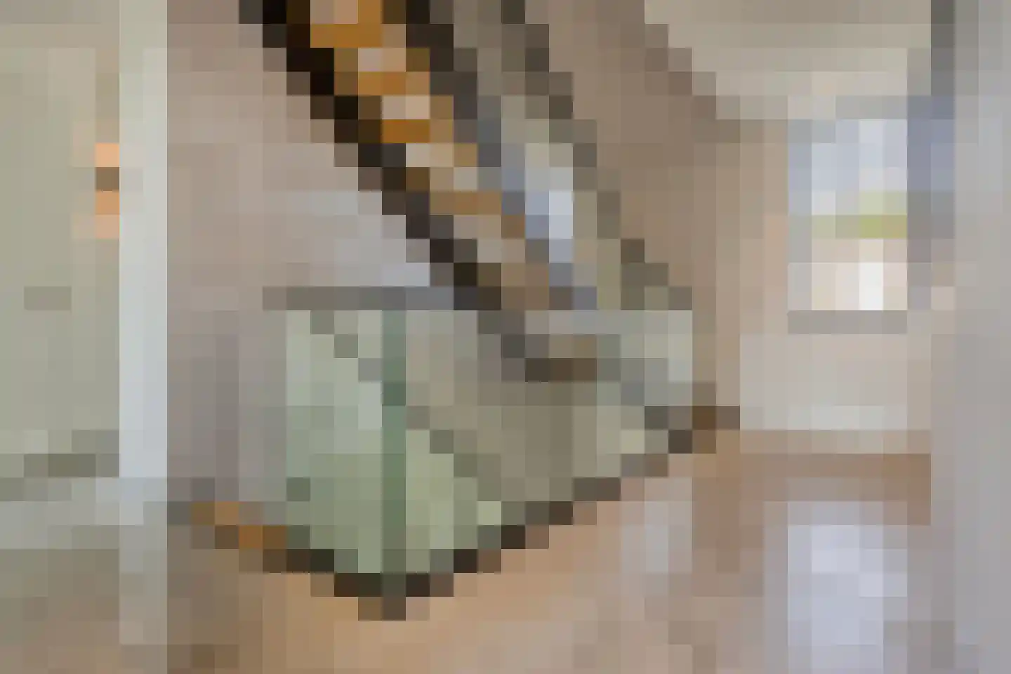 Eikenstraat 3 Nieuwkuijk thumbnail 39