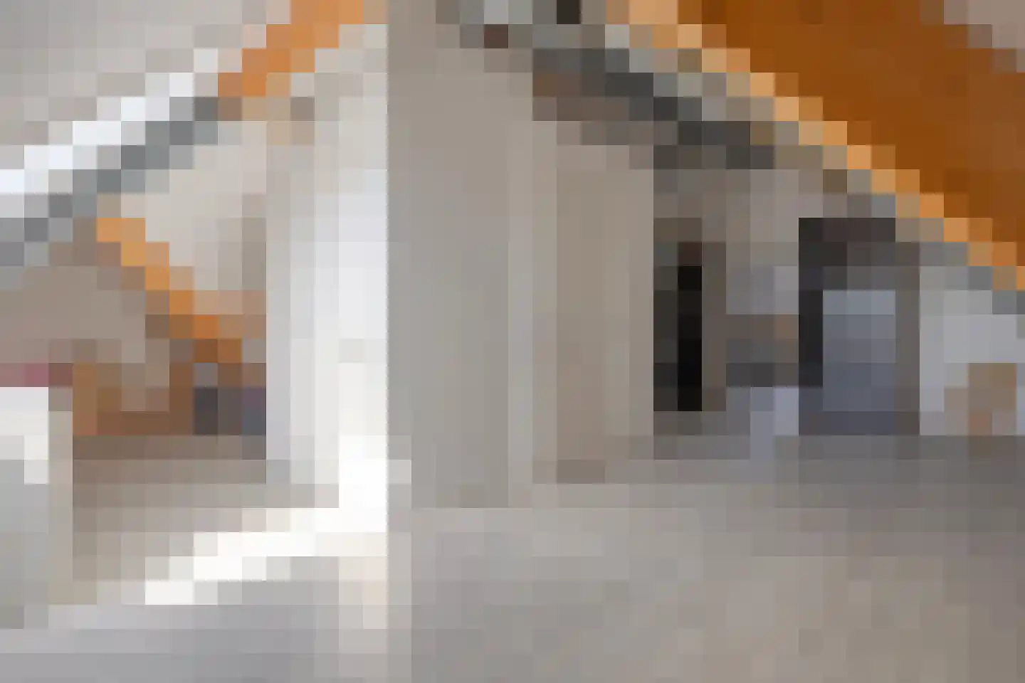 Eikenstraat 3 Nieuwkuijk thumbnail 57