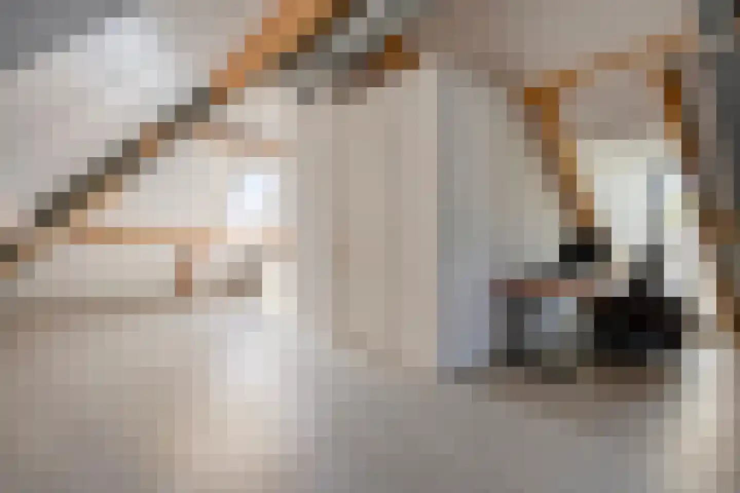 Eikenstraat 3 Nieuwkuijk thumbnail 59