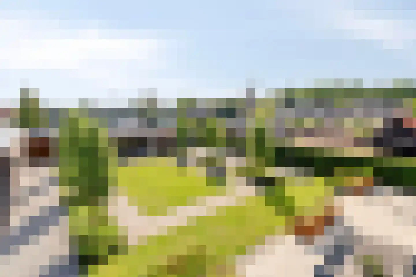 Eikenstraat 3 Nieuwkuijk thumbnail 65