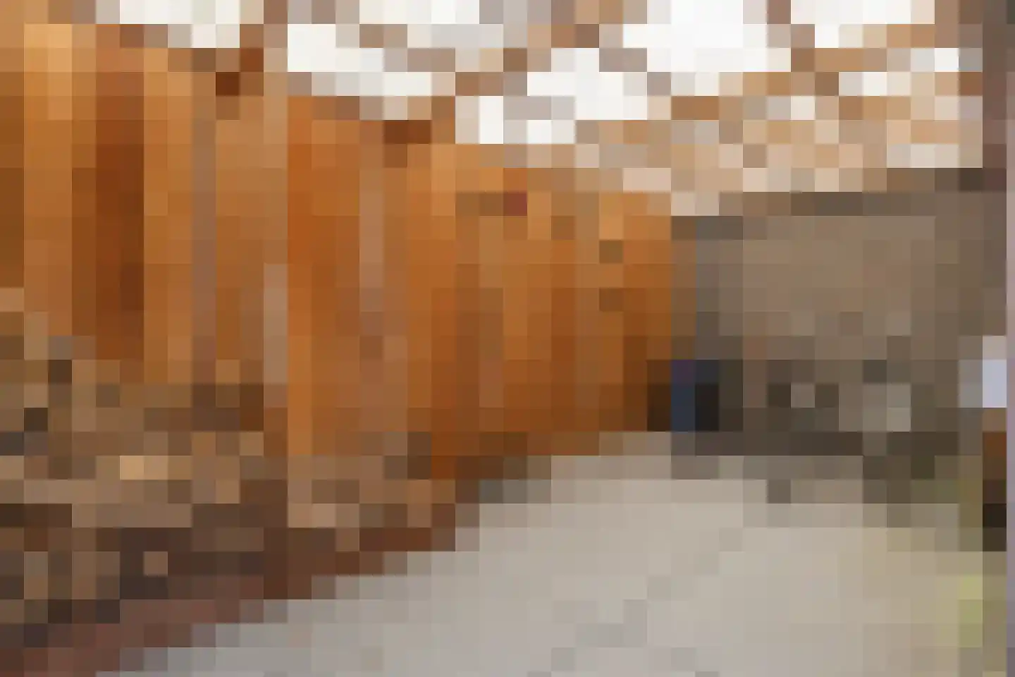 Eikenstraat 3 Nieuwkuijk thumbnail 86