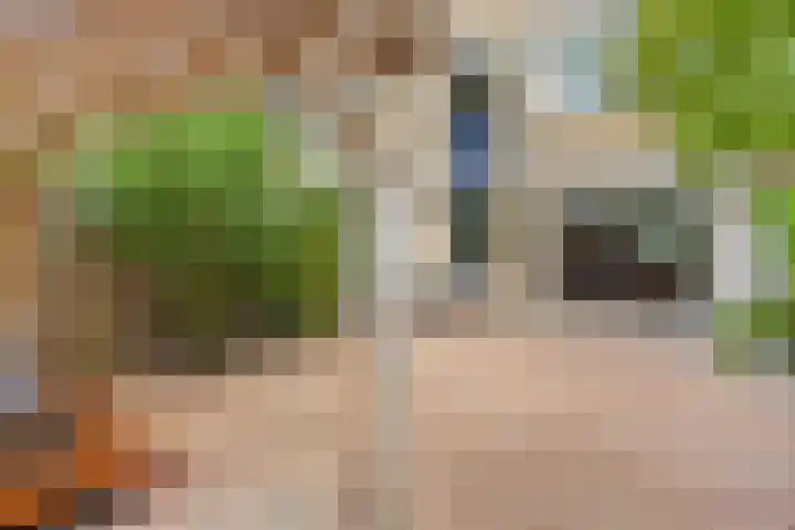Eikenstraat 31 Almere thumbnail 33
