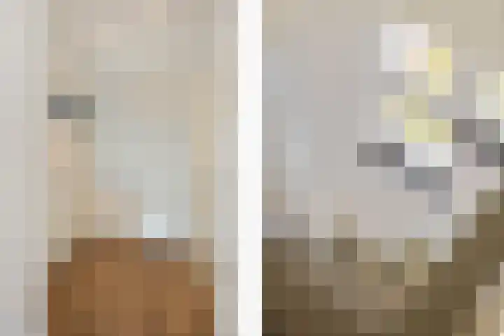 Eikenstraat 34 Linne thumbnail 23
