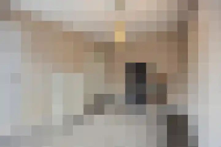 Eikenstraat 34 Linne thumbnail 26