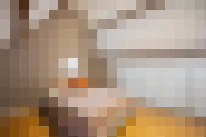 Eikenstraat 34 Linne thumbnail 36