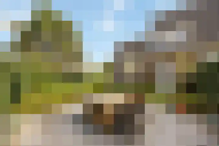 Eikenstraat 34 Linne thumbnail 48