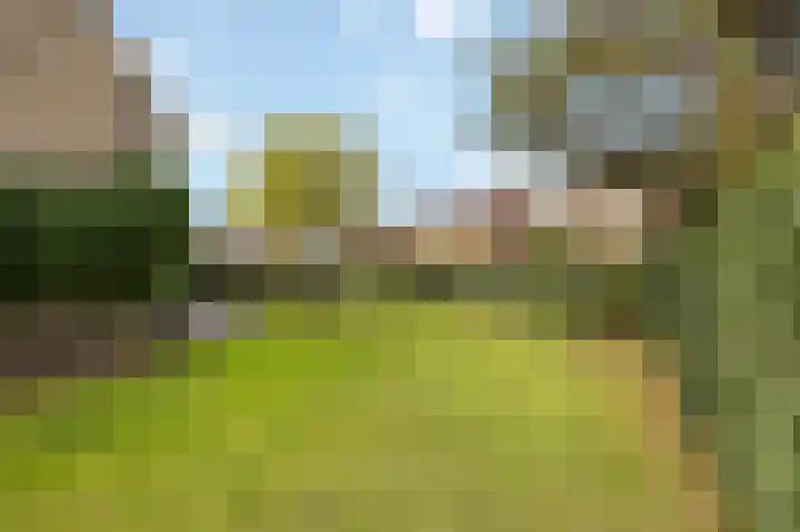 Eikenstraat 34 Linne thumbnail 49