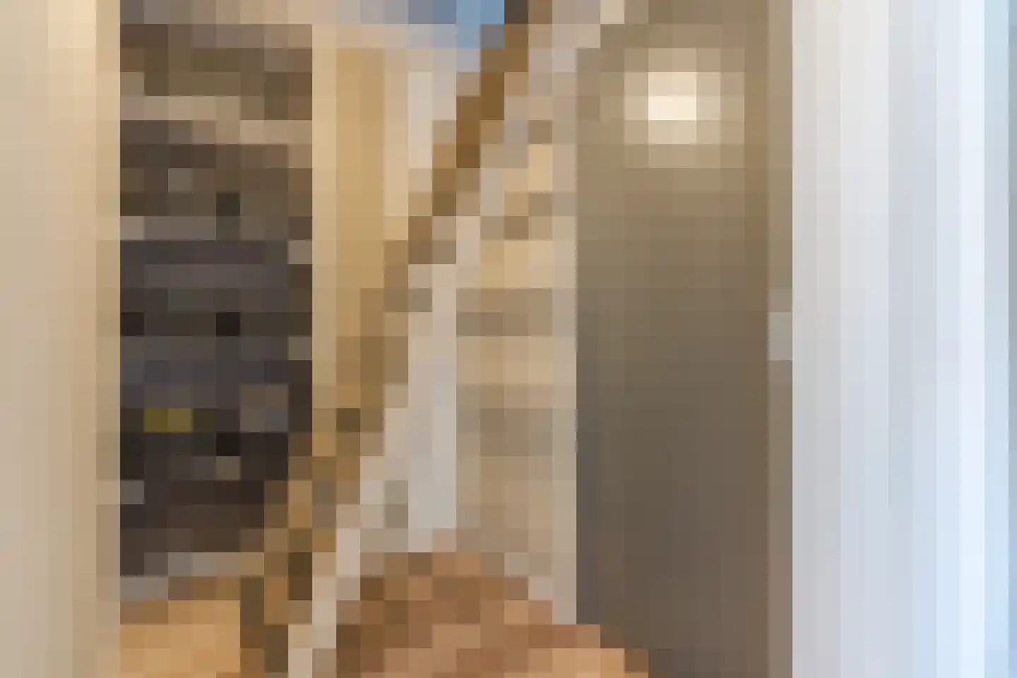 Eikenstraat 5 Dongen thumbnail 43
