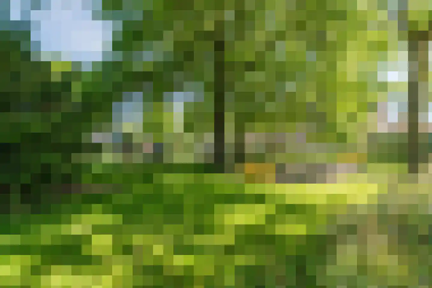 Eikenstraat 5 Dongen thumbnail 54