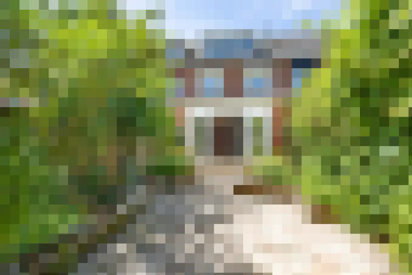 Eikenstraat 52 Almere thumbnail 30