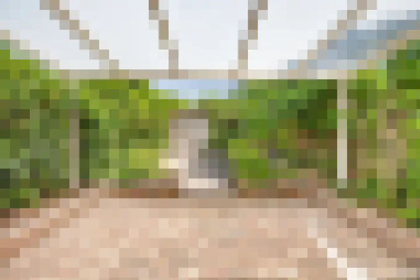 Eikenstraat 52 Almere thumbnail 31