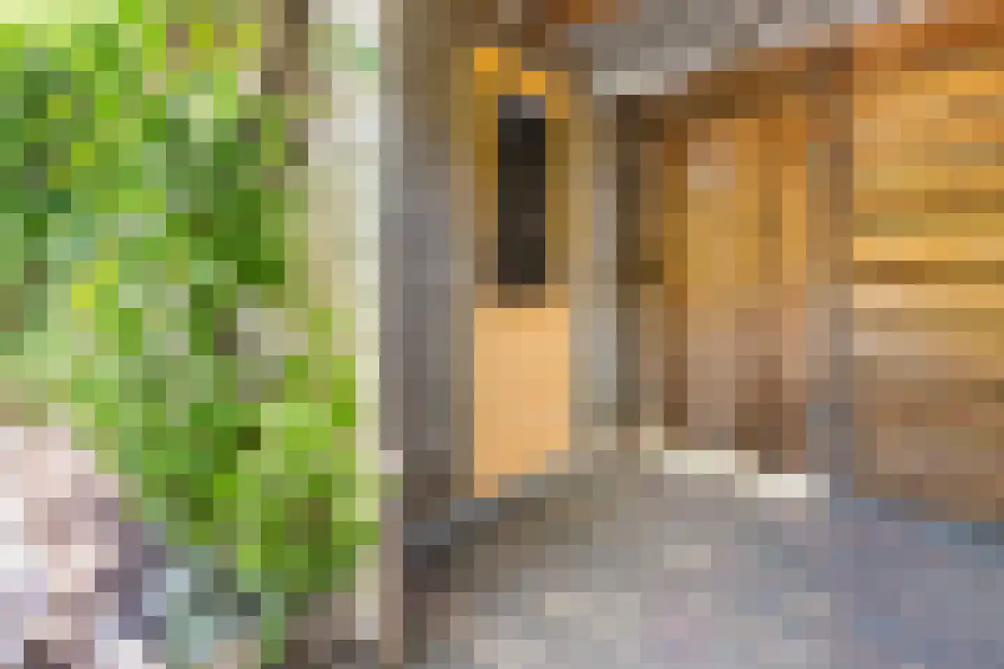 Eikenstraat 52 Almere thumbnail 32