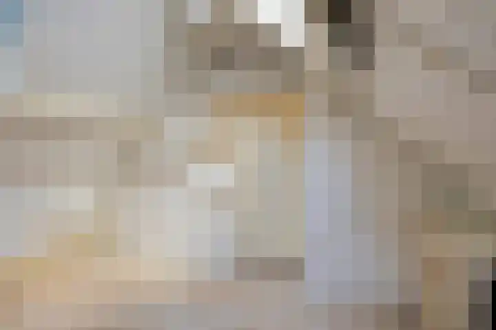 Eikenstraat 8 Eethen thumbnail 24