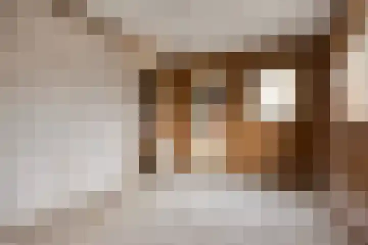 Eikenstraat 8 Eethen thumbnail 33