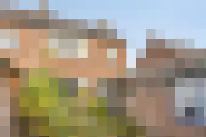 Eikenstraat 8 Eethen thumbnail 39