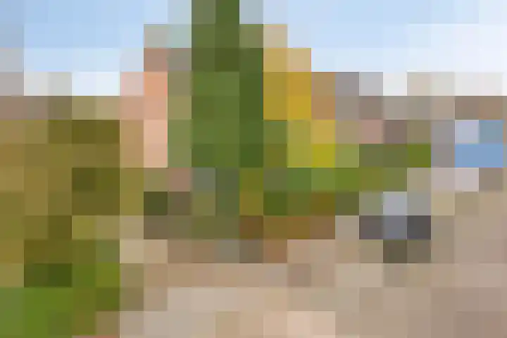 Eikenstraat 8 Eethen thumbnail 43