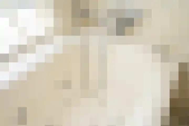 Eikenstraat 8 Grevenbicht thumbnail 28