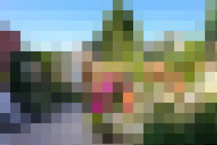 Eikenstraat 8 Grevenbicht thumbnail 35