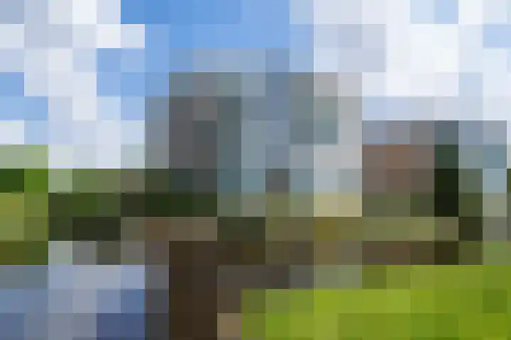 Eikenstraat 8 Grevenbicht thumbnail 4