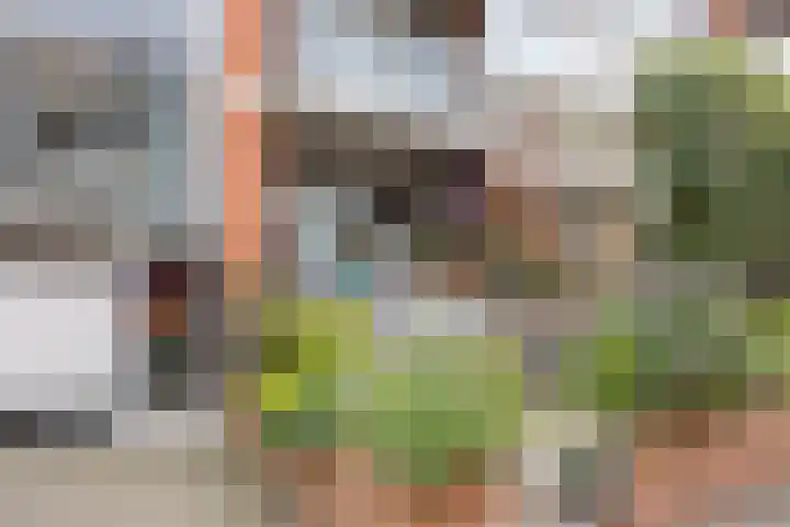 Eikenstraat 9 Beverwijk thumbnail 22