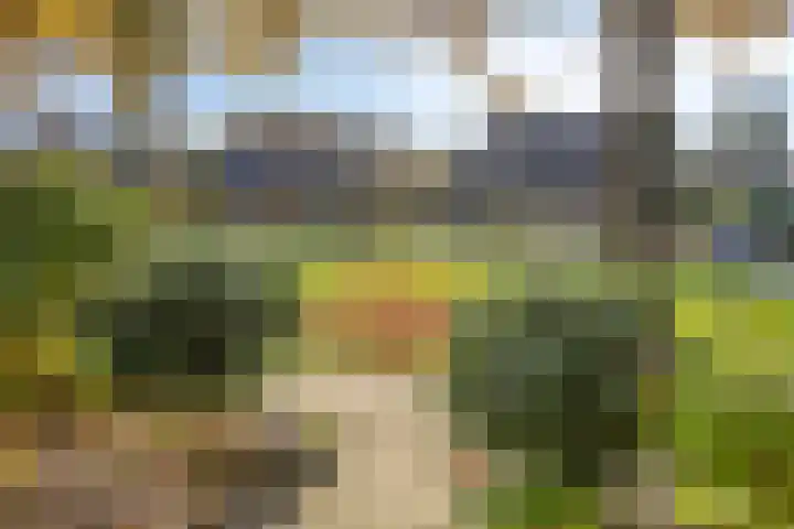 Eikenstraat 9 Kampen thumbnail 12