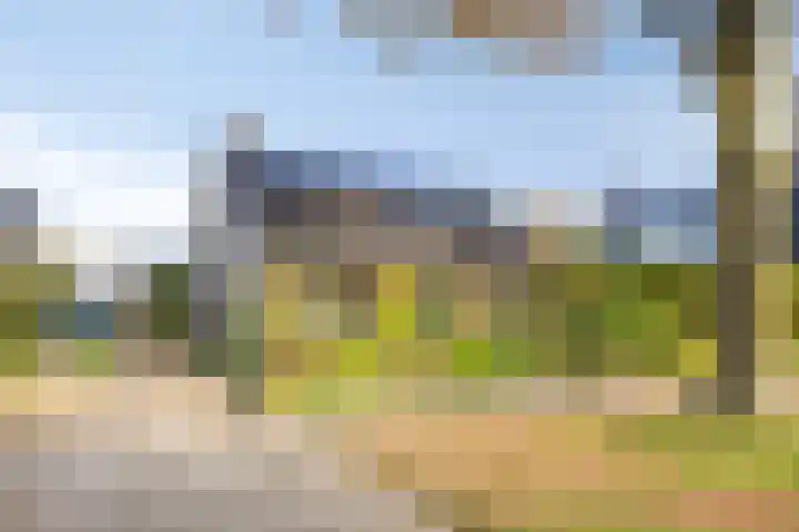 Eikenstraat 9 Kampen thumbnail 8