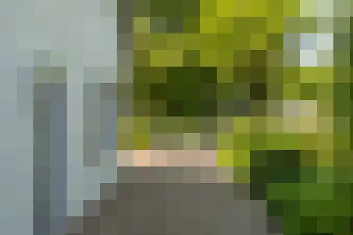 Eikenven 12 Oisterwijk thumbnail 12