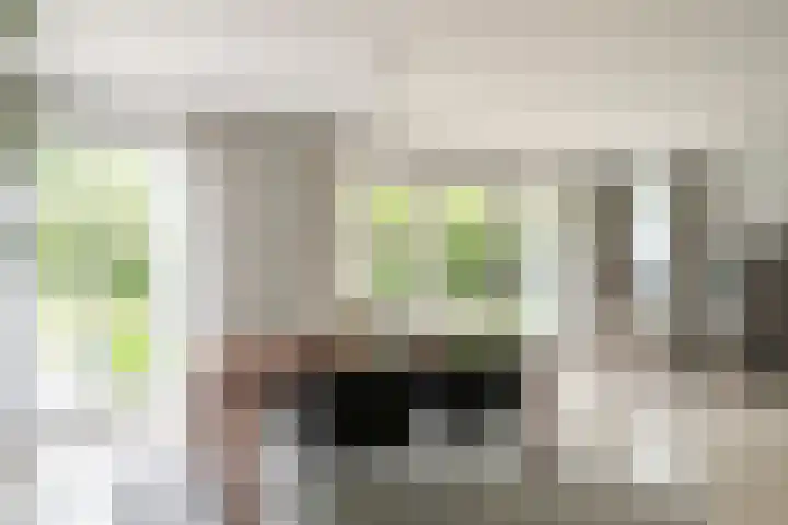 Eikenven 12 Oisterwijk thumbnail 17