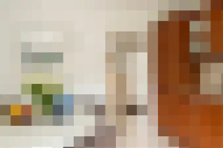 Eikenven 12 Oisterwijk thumbnail 27