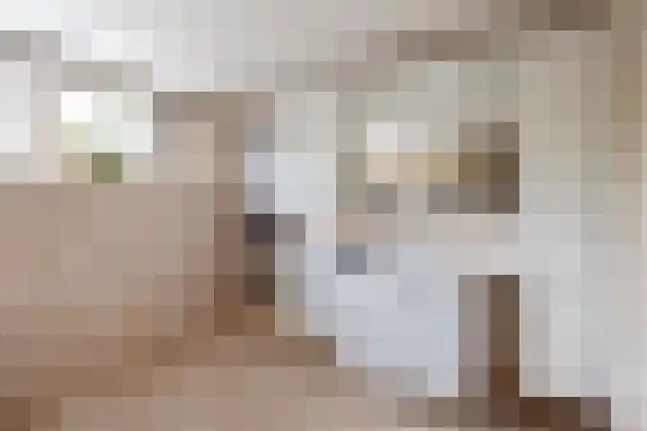 Eikenven 12 Oisterwijk thumbnail 32