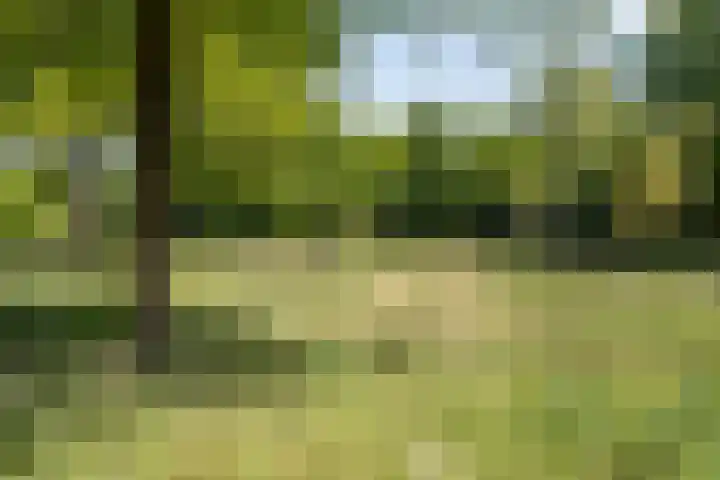 Eikenven 12 Oisterwijk thumbnail 36