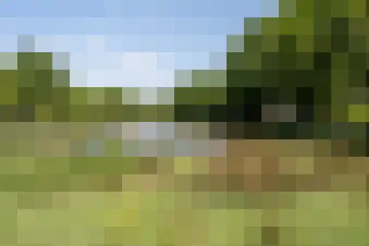 Eikenven 12 Oisterwijk thumbnail 37