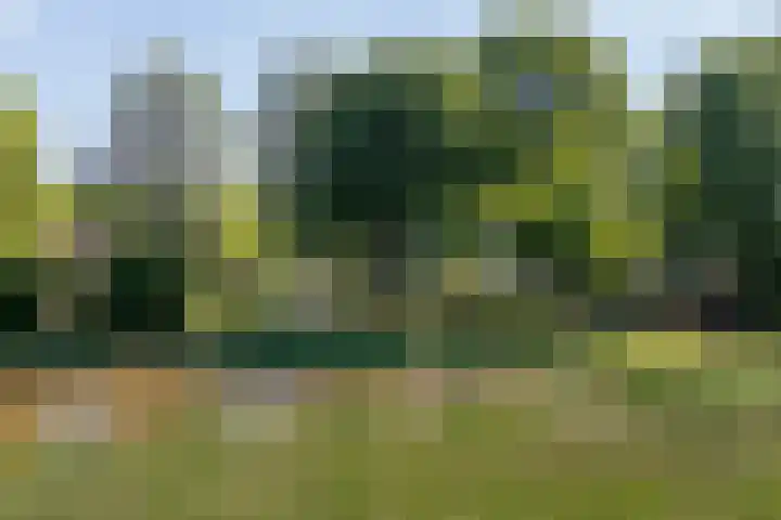 Eikenven 12 Oisterwijk thumbnail 4