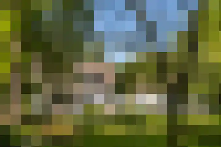 Eikenven 12 Oisterwijk thumbnail 5