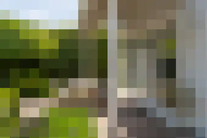 Eikenven 12 Oisterwijk thumbnail 6