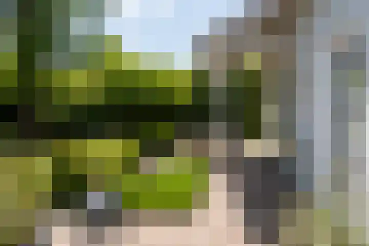 Eikenven 12 Oisterwijk thumbnail 7