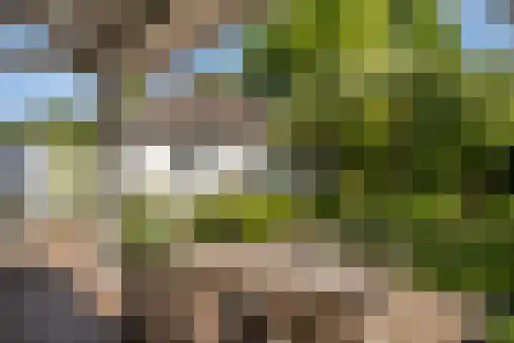 Eikenven 12 Oisterwijk thumbnail 8
