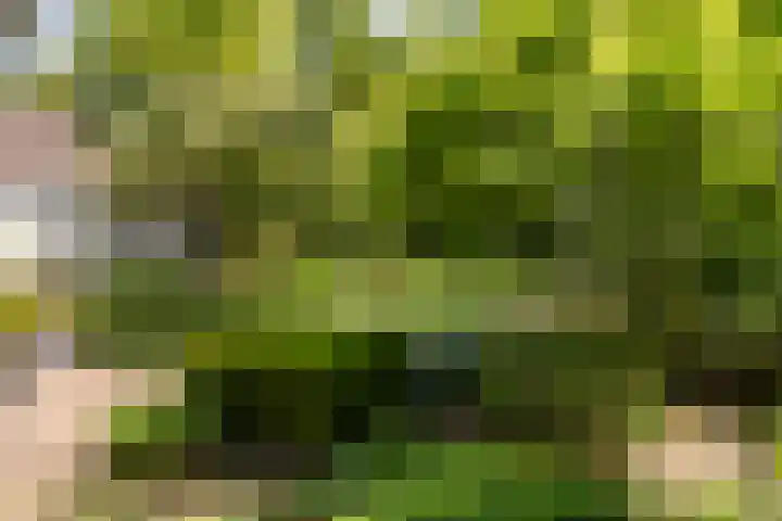 Eikenven 12 Oisterwijk thumbnail 9