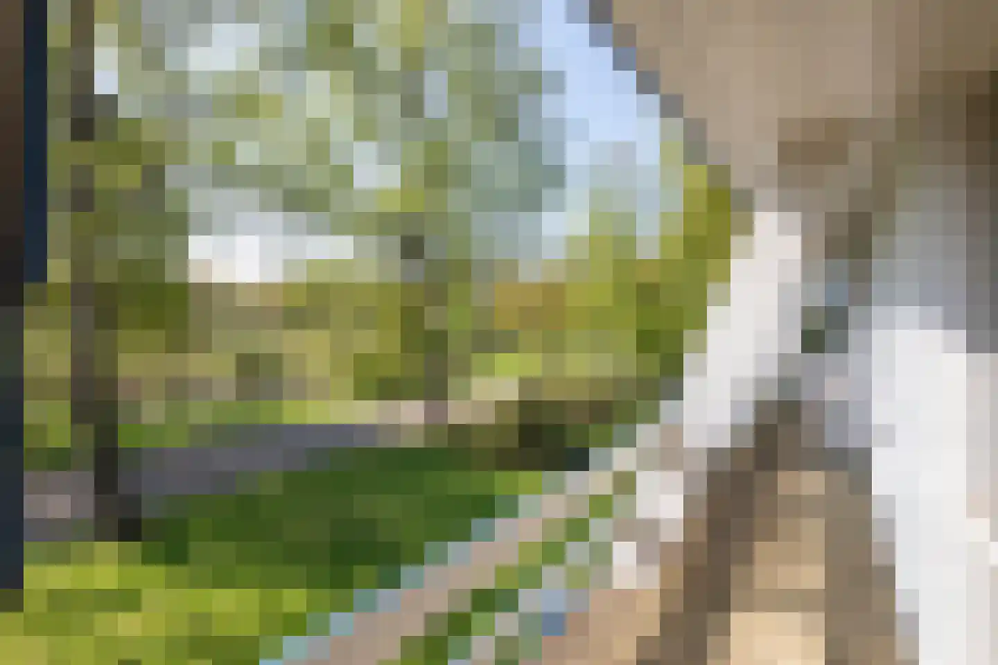 Eikenven 31 Oisterwijk thumbnail 10