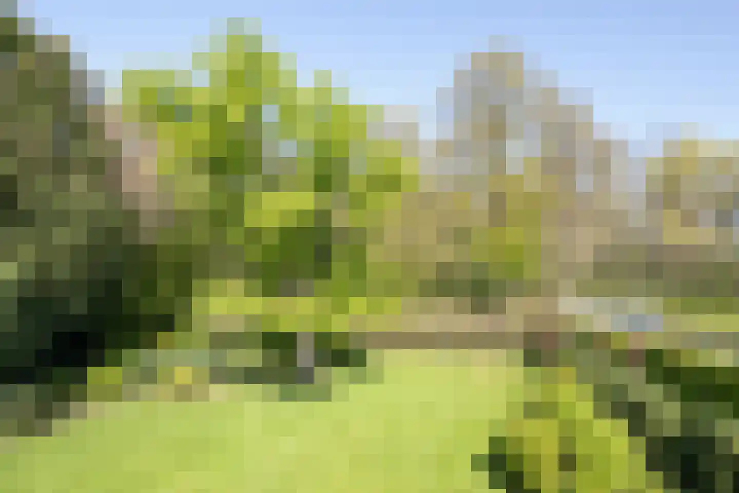 Eikenven 31 Oisterwijk thumbnail 12