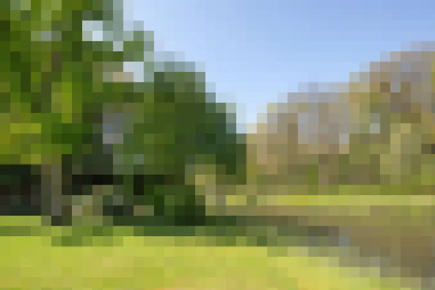 Eikenven 31 Oisterwijk thumbnail 17