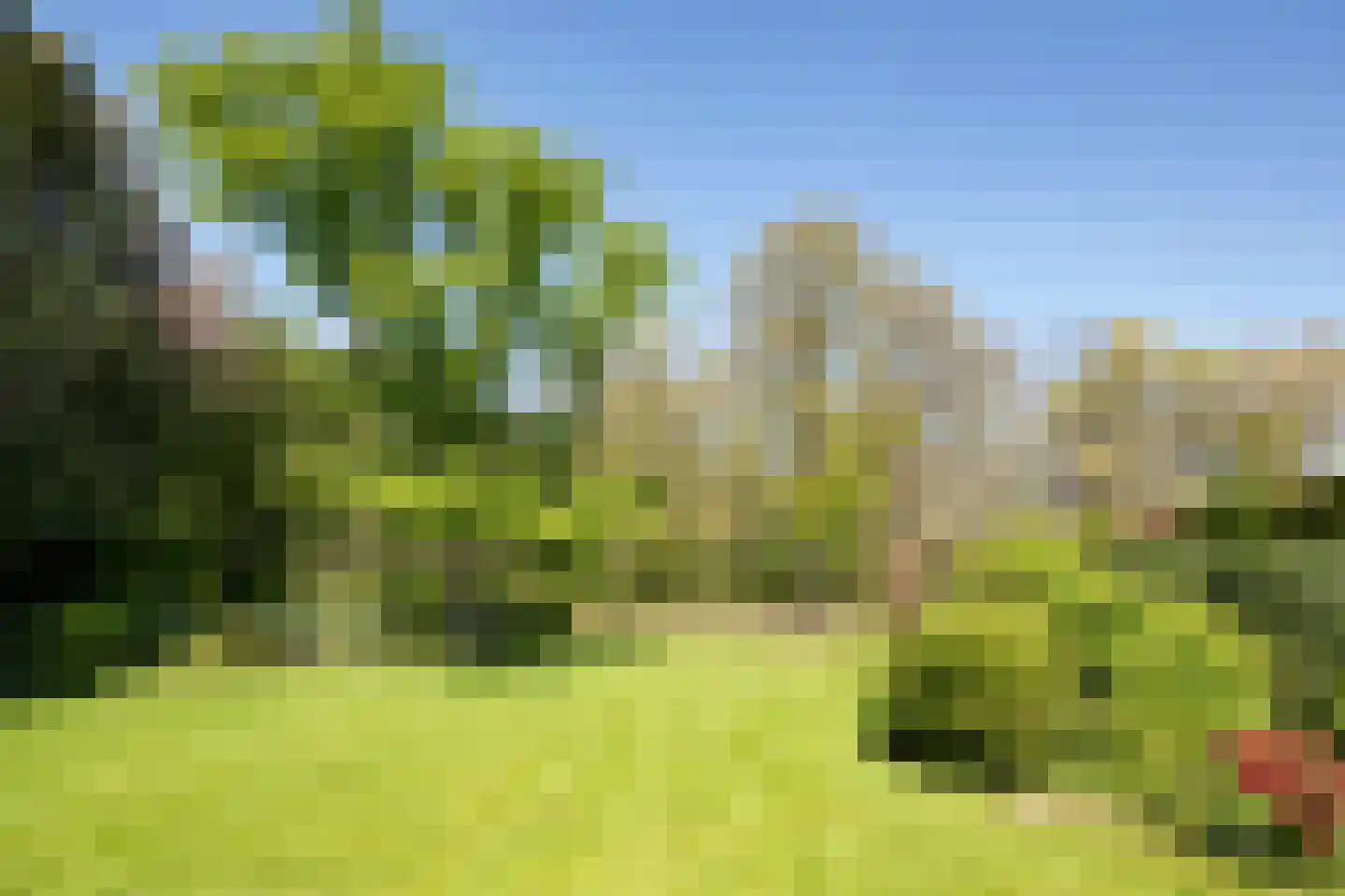 Eikenven 31 Oisterwijk thumbnail 19