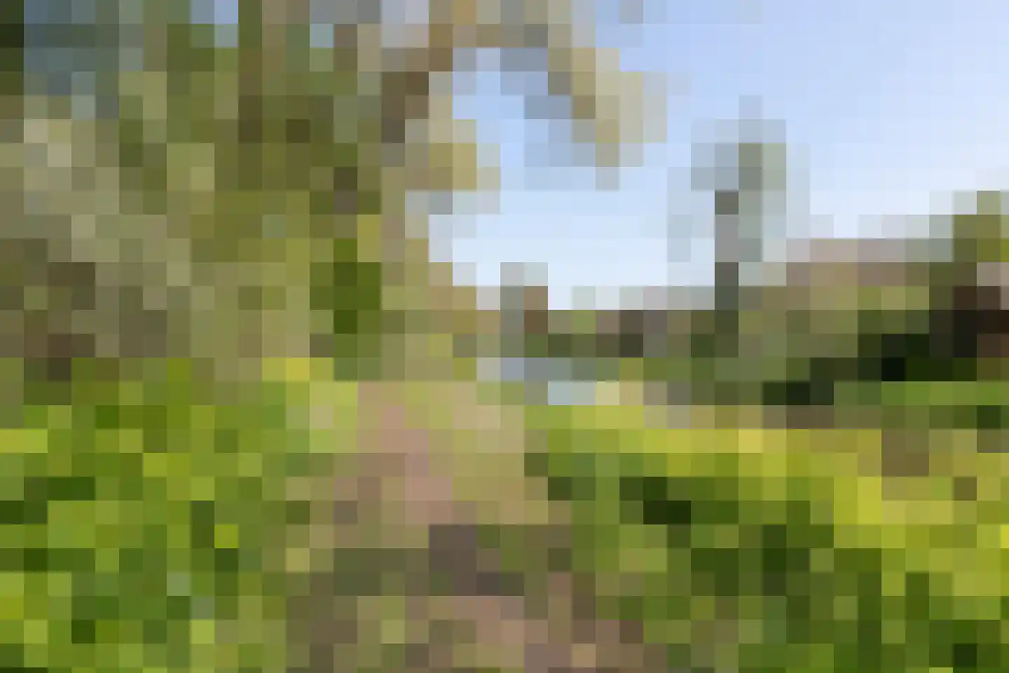 Eikenven 31 Oisterwijk thumbnail 20