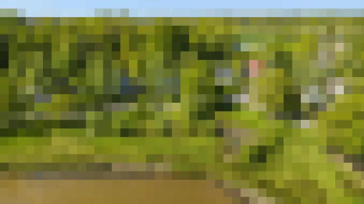 Eikenven 31 Oisterwijk thumbnail 22
