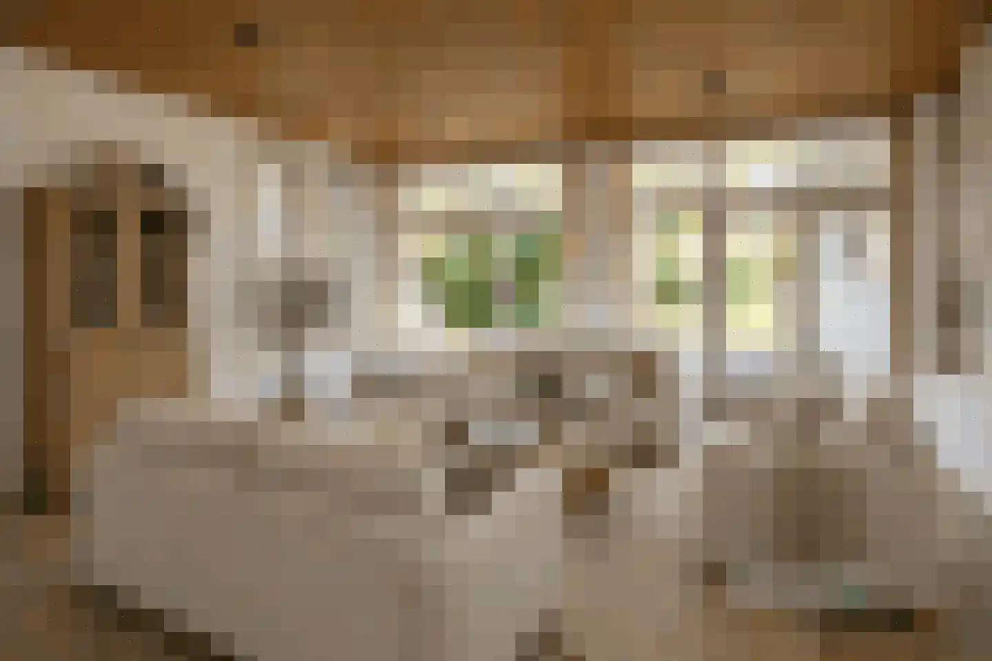 Eikenven 31 Oisterwijk thumbnail 8