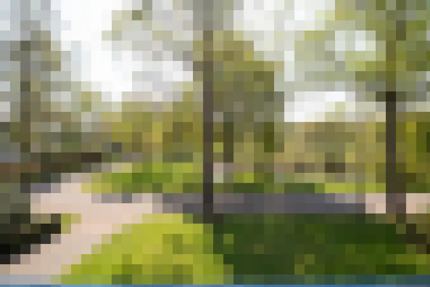 Eikenven 31 Oisterwijk thumbnail 9