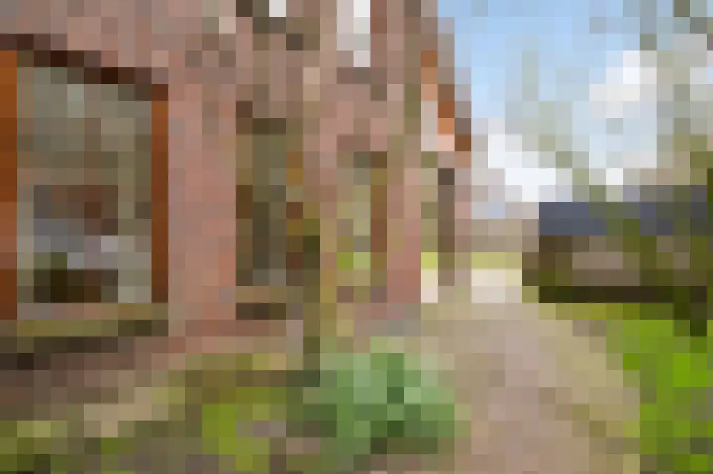 Eikenwal 11 Hegelsom thumbnail 54