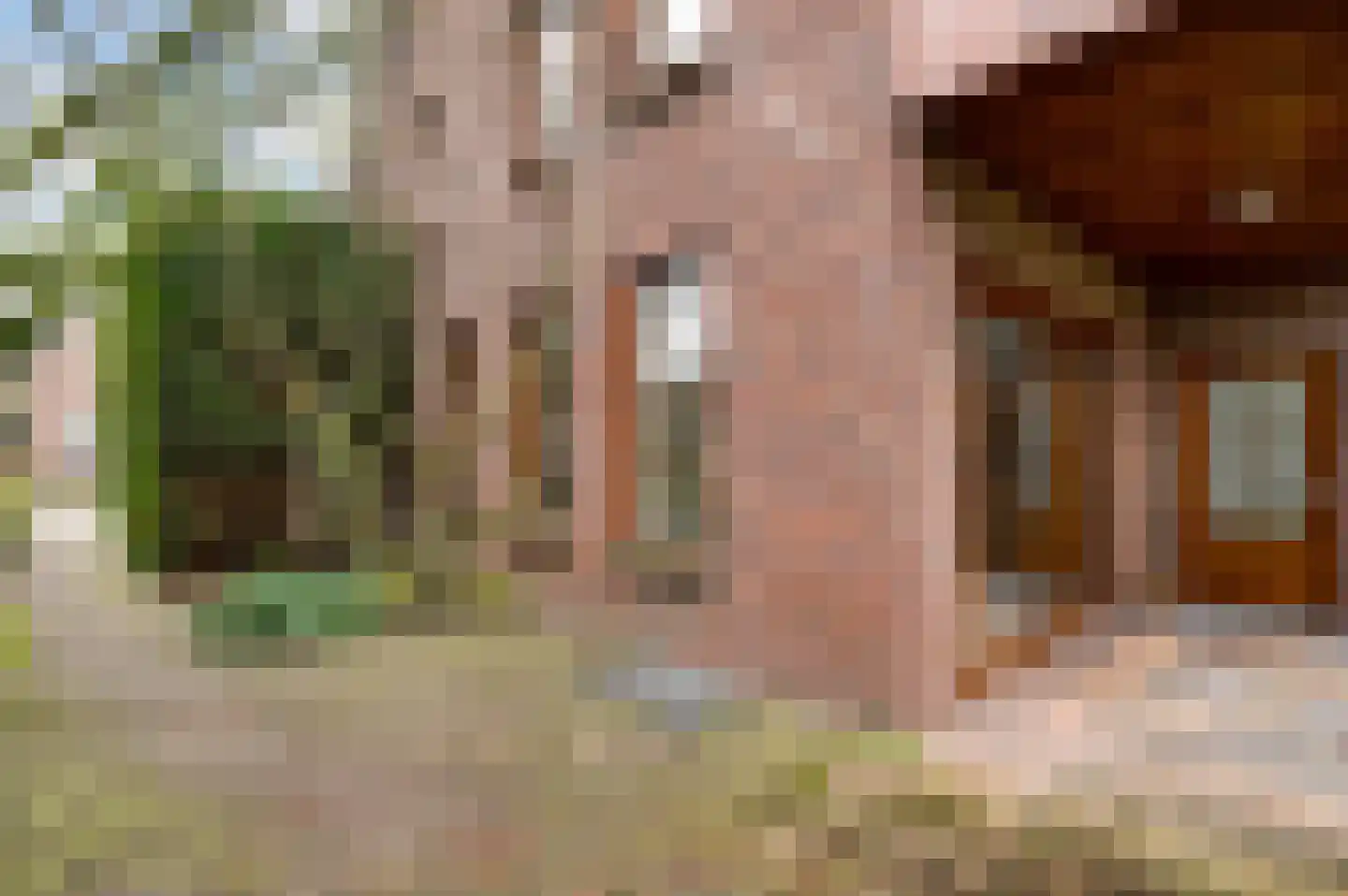 Eikenwal 11 Hegelsom thumbnail 55