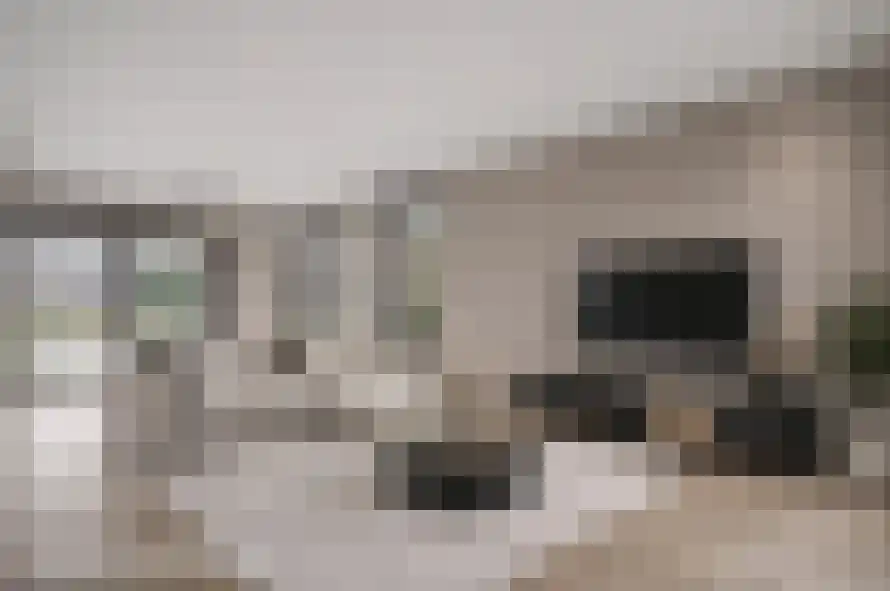 Eikenwal 11 Hegelsom thumbnail 62