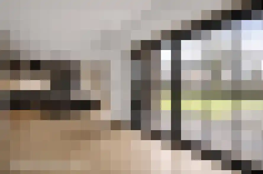 Eikenwal 11 Hegelsom thumbnail 63
